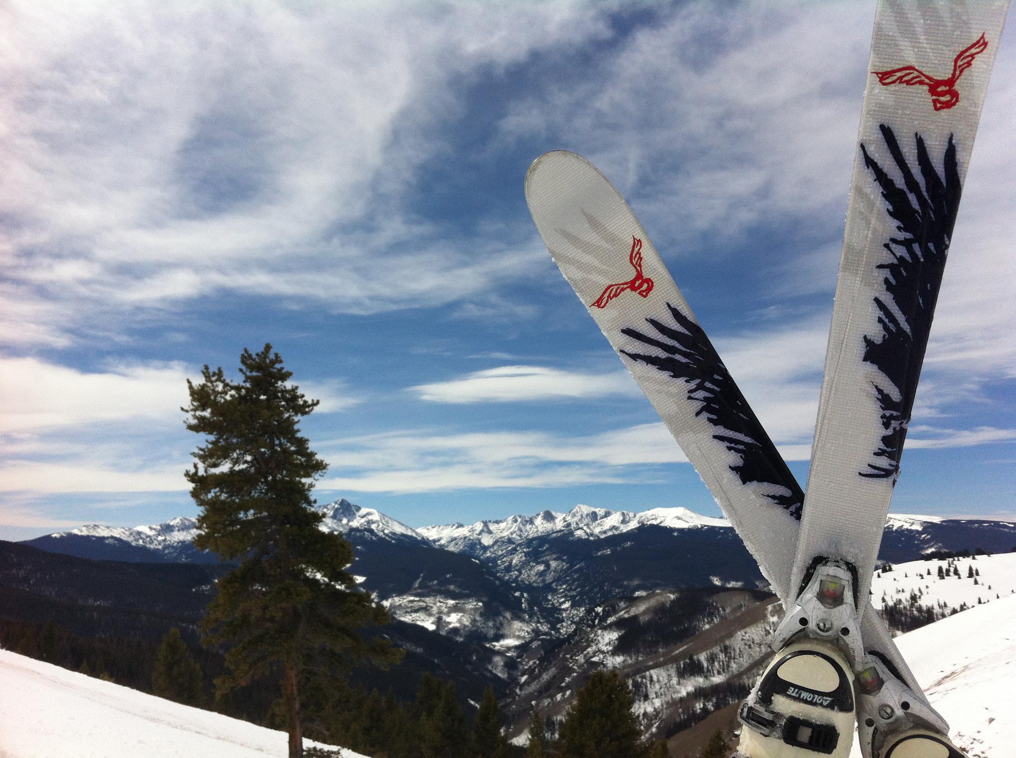 SKIING  Railing Shop Collective